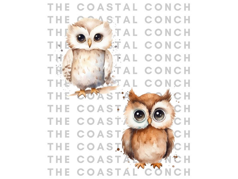 May include: Two watercolor illustrations of owls. The owl on the left is white with brown markings and the owl on the right is brown with white markings. Both owls have large, round eyes.