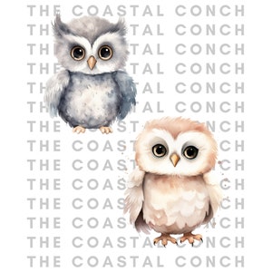 May include: Two watercolor illustrations of owls. The owl on the left is gray with large brown eyes. The owl on the right is light brown with large brown eyes.