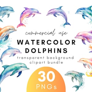 Clipart dauphin aquarelle coloré-30 fond Transparent PNG à usage commercial téléchargement immédiat