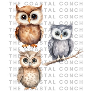 May include: Three watercolor illustrations of owls. One owl is brown with large eyes, another is gray with large eyes, and the third is brown with large eyes and is perched on a branch.