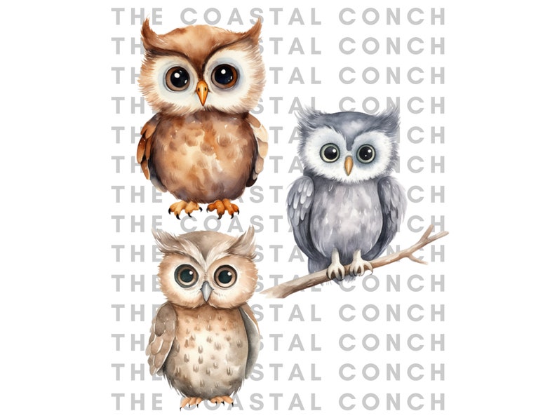 May include: Three watercolor illustrations of owls. One owl is brown with large eyes, another is gray with large eyes, and the third is brown with large eyes and is perched on a branch.