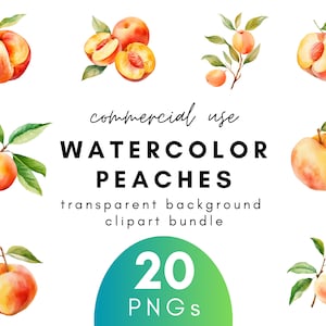 Fruity Watercolor Peach Clipart- 20 Transparent Background PNG Commercial Use Instant Download