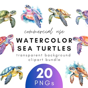 Cute Watercolor Sea Turtle Clipart- 20 Transparent Background PNG Commercial Use Instant Download
