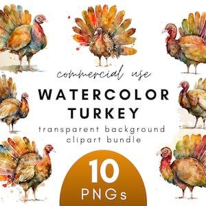 Watercolor Thanksgiving Turkey Clipart- 10 Transparent Background PNG Commercial Use Instant Download