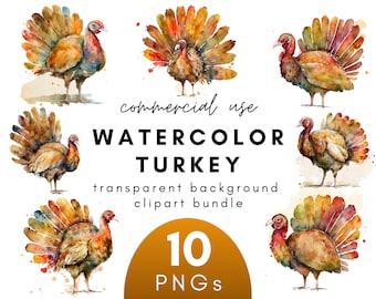 Watercolor Thanksgiving Turkey Clipart- 10 Transparent Background PNG Commercial Use Instant Download