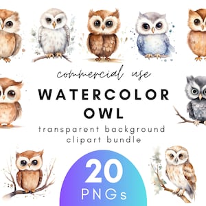 Lindo búho acuarela Clipart- 20 Fondo transparente PNG Uso comercial Descarga instantánea