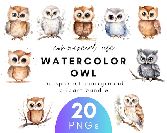 Cute Watercolor Owl Clipart- 20 Transparent Background PNG Commercial Use Instant Download