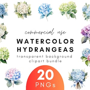 Bright Watercolor Hydrangea Clipart- 20 Transparent Background PNG Commercial Use Instant Download