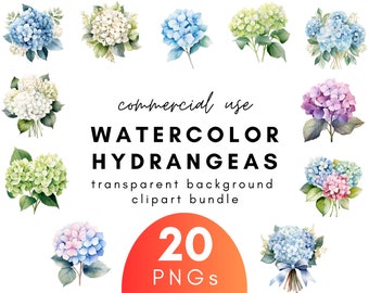 Bright Watercolor Hydrangea Clipart- 20 Transparent Background PNG Commercial Use Instant Download