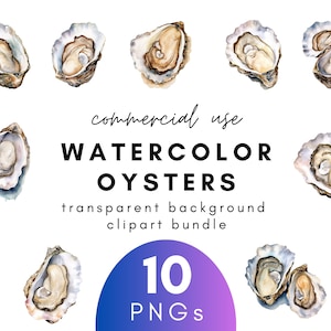 Coastal Watercolor Oyster Clipart- 10 Transparent Background PNG Commercial Use Instant Download