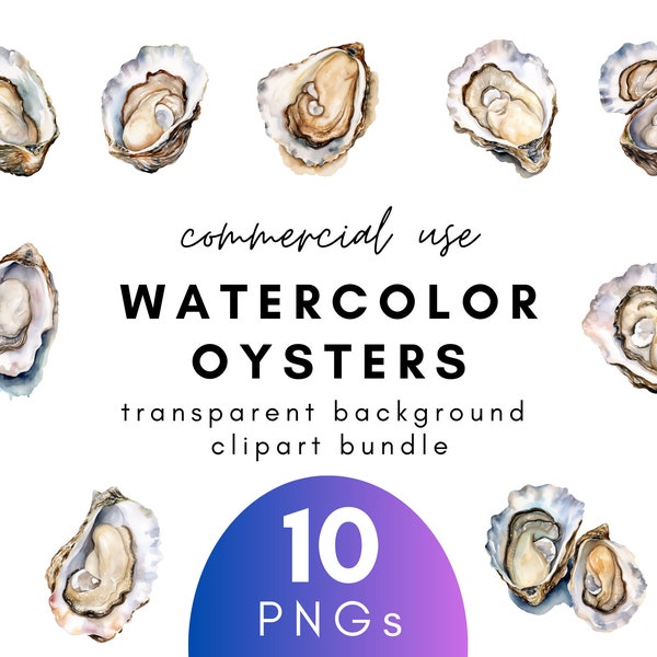 Coastal Watercolor Oyster Clipart- 10 Transparent Background PNG Commercial Use Instant Download