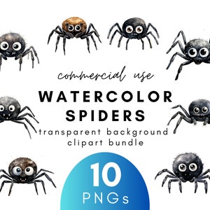 Süße Aquarell Spinne Clipart-10 transparenten Hintergrund PNG kommerzielle Nutzung Instant Download