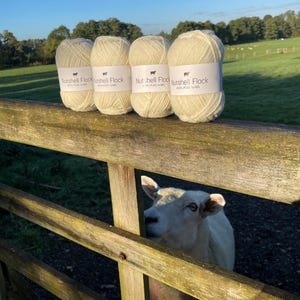 Puede incluir: Cuatro ovillos de lana de color crema etiquetados "Nutshell Flock 100% Lana Pura" en una valla de madera con una oveja blanca asom&aacute;ndose por la valla.