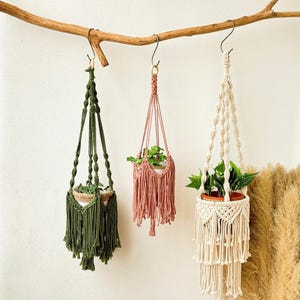 May include: Three macrame plant hangers with different coloured fringe. The hangers are hanging from a branch with metal hooks. The plant hangers are holding small potted plants.