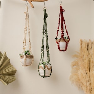 May include: Three macrame plant hangers with wooden beads, each holding a small white pot with a green plant. The hangers are hanging from a wooden branch against a white wall.