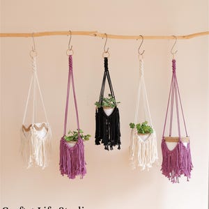 May include: Five macrame plant hangers with fringe, each holding a small potted plant. The hangers are in white, black, and purple.