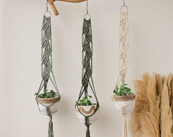 May include: Three macrame plant hangers with green and natural coloured cords, hanging from a wooden branch. Each hanger holds a small potted plant.