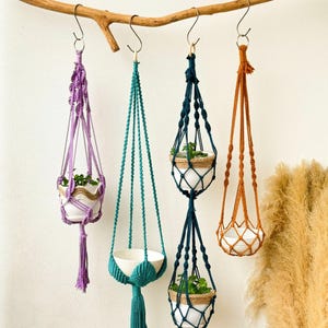 Puede incluir: Cuatro maceteros colgantes de macramé con cordones y borlas de diferentes colores. Los maceteros están colgados de una rama de madera con ganchos metálicos. Los maceteros sostienen macetas de cerámica blanca con plantas.