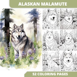 52 Blooming Alaskan Malamute Coloring Page Book, Printable PDF, Dog, Grayscale Coloring Pages, Digital Coloring Book