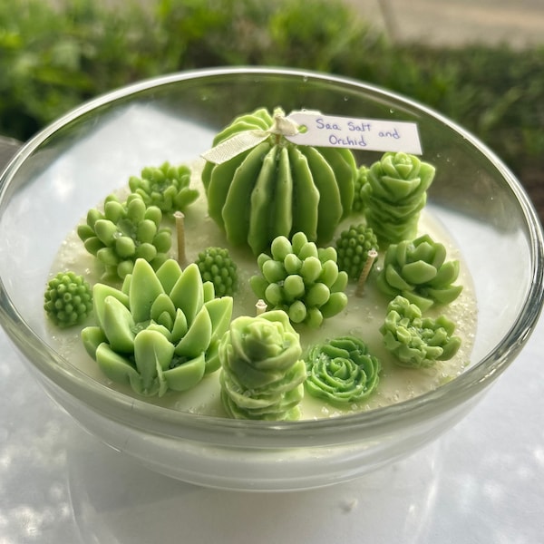 Succulent garden candle / terrarium candle / Cactus candle / Sea salt and orchid aroma candle/ cute candles/Home decoration