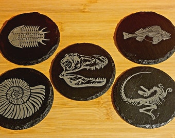 Dinosaur Laser Engraved Fossil Coasters - Set Of 5