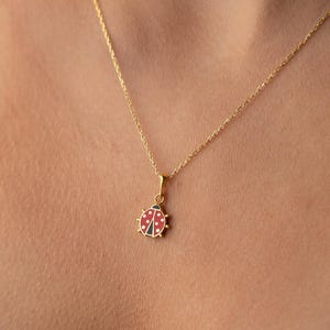 Puede incluir: Un collar dorado con un colgante de mariquita. El colgante de mariquita es rojo con lunares negros y una cabeza negra. El collar se lleva alrededor del cuello.