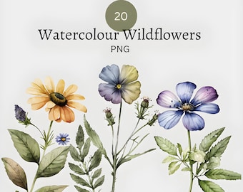 Wildflower clipart - watercolor wild flowers - floral clipart - premade clipart - wildflower png