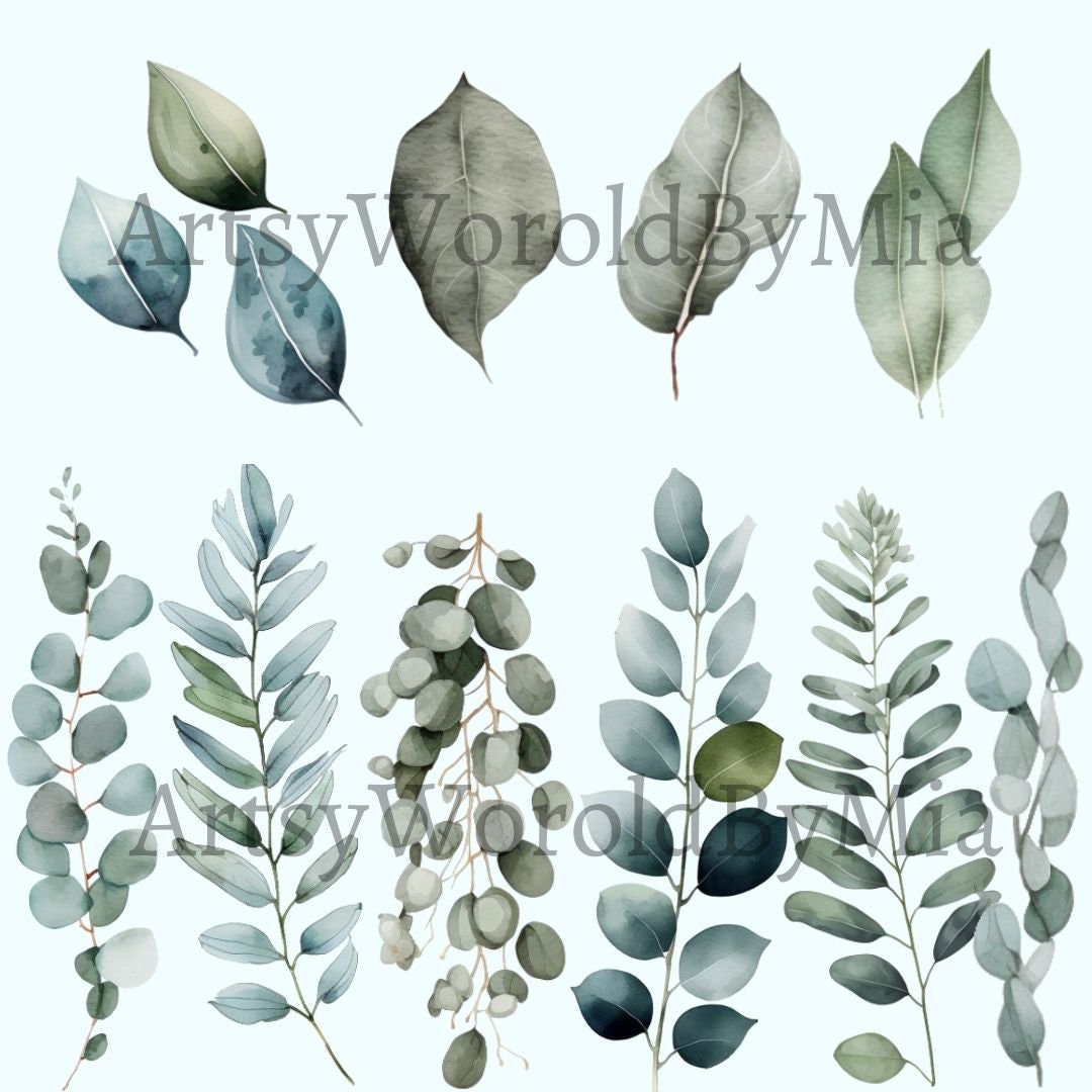 Watercolor Eucalyptus Clipart - Greenery Clipart - Individual Elements ...