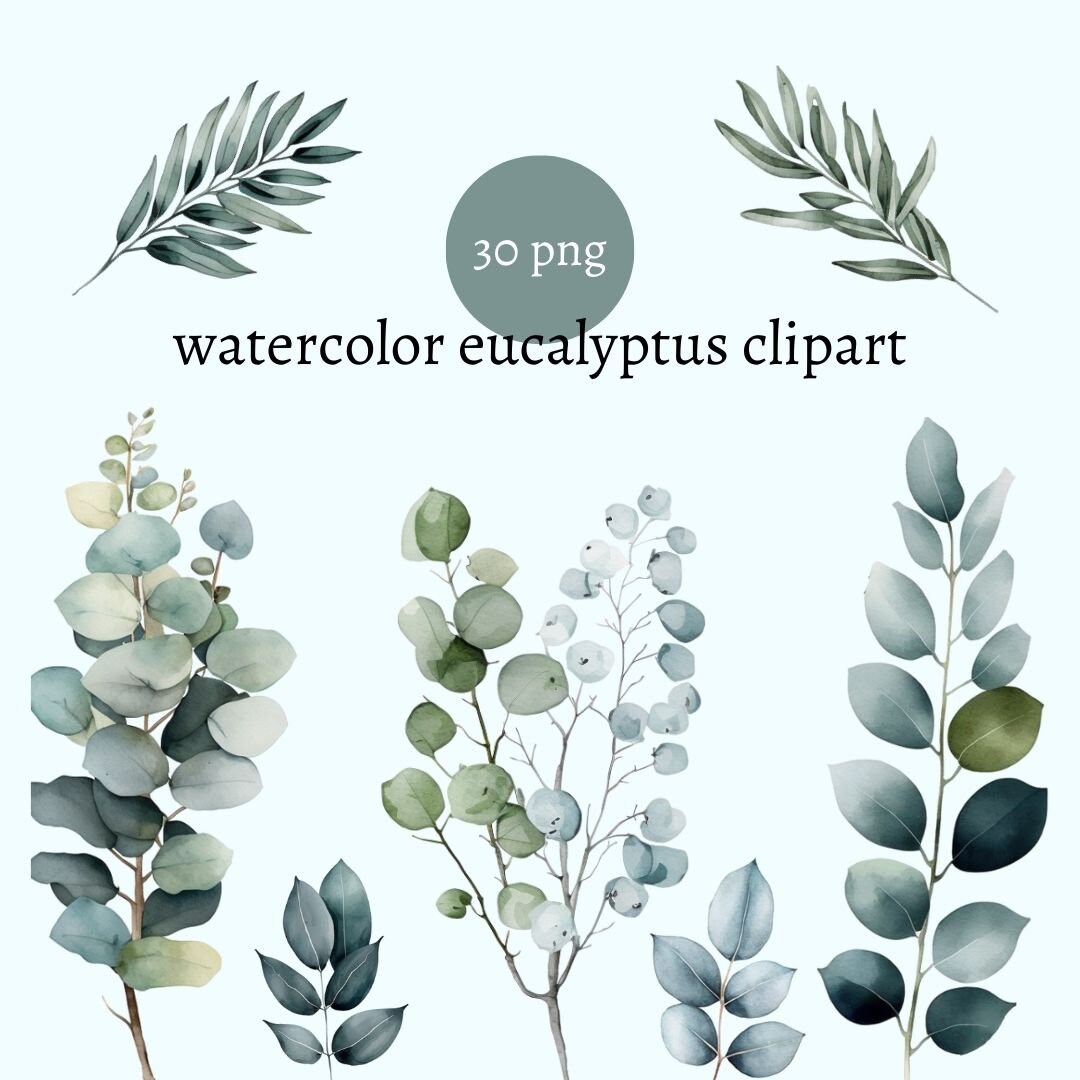 Watercolor Eucalyptus Clipart - Greenery Clipart - Individual Elements ...