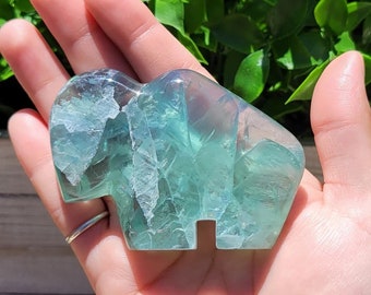 Fluorite Buffalo