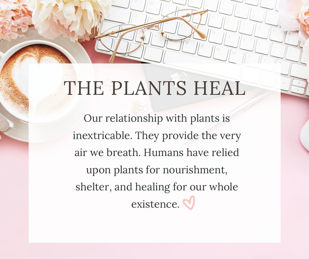 Herbal Template, Printable Medicinal Herbs, Plant Journal, Printable ...