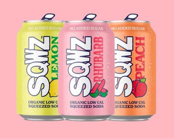 SQWZ Organic Sparkling Fruit Drink Variety Pack - Zitrone-Ingwer, Rhabarber, weißer Pfirsich