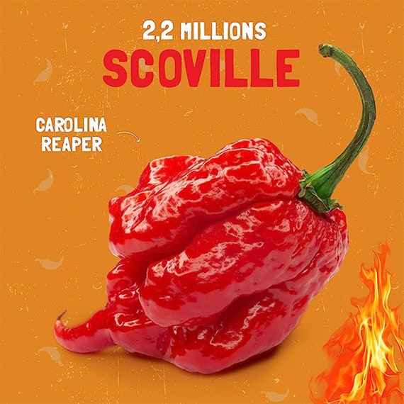 Hot Chip Challenge - 2 millions Scoville - Le défi le plus chaud du monde  avec le