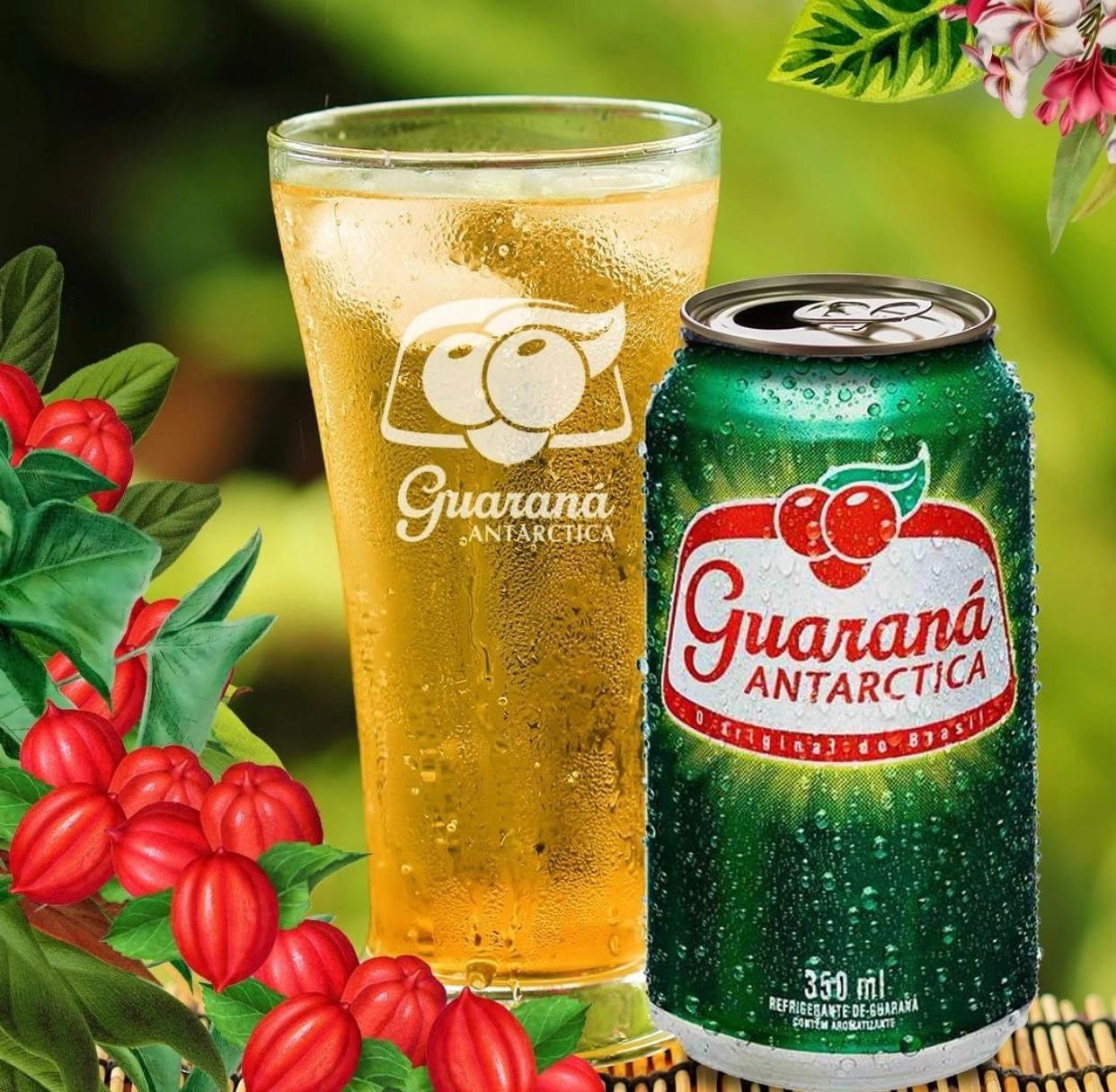 Guaraná Antarctica Authentic Brazilian Drink 5 Pack 