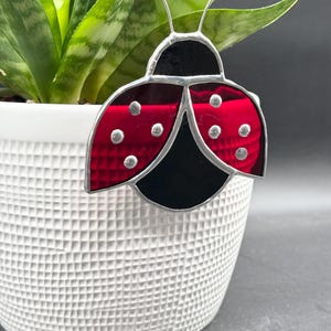 May include: A stained glass ladybug with red wings and black body, accented with silver solder and small white dots. The ladybug is a decorative item, possibly a suncatcher or garden ornament.