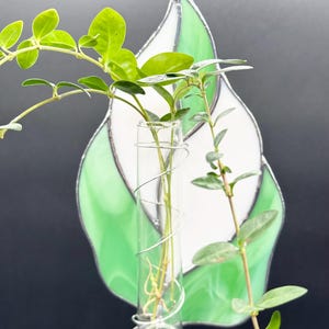 Handmade Stained Glass Plant Propagation Station: Green Decor