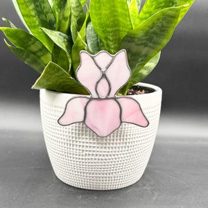 May include: A pink stained glass flower decoration with a silver-colored border, placed in front of a green plant in a white textured pot. The flower has a delicate, layered design and is a decorative accent.