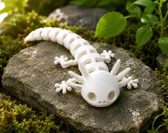 Axolotl Skeleton Articulated Flexi
