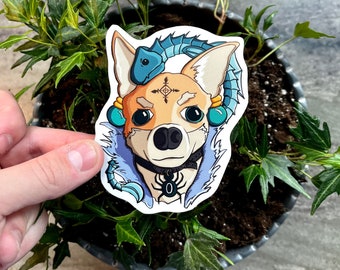 Spider Dog: Durable + Weatherproof