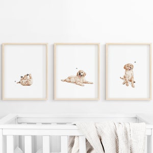 Stampa Golden Retriever, arte per cameretta dei cani, arte murale per cameretta dei cuccioli, decorazione per cameretta dei bambini, stampa di cani, DOWNLOAD DIGITALE