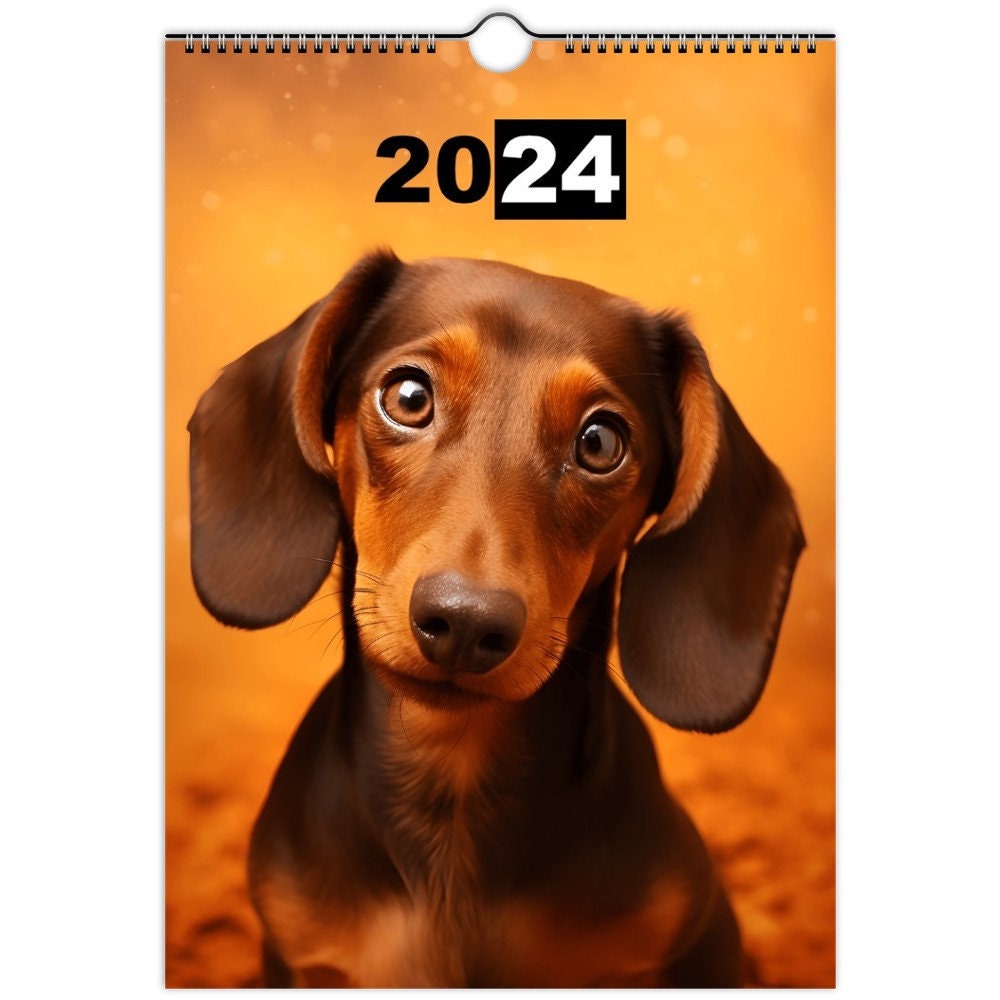 Dachshund Wall Calendar 2024 / A3 or A4 Format Etsy