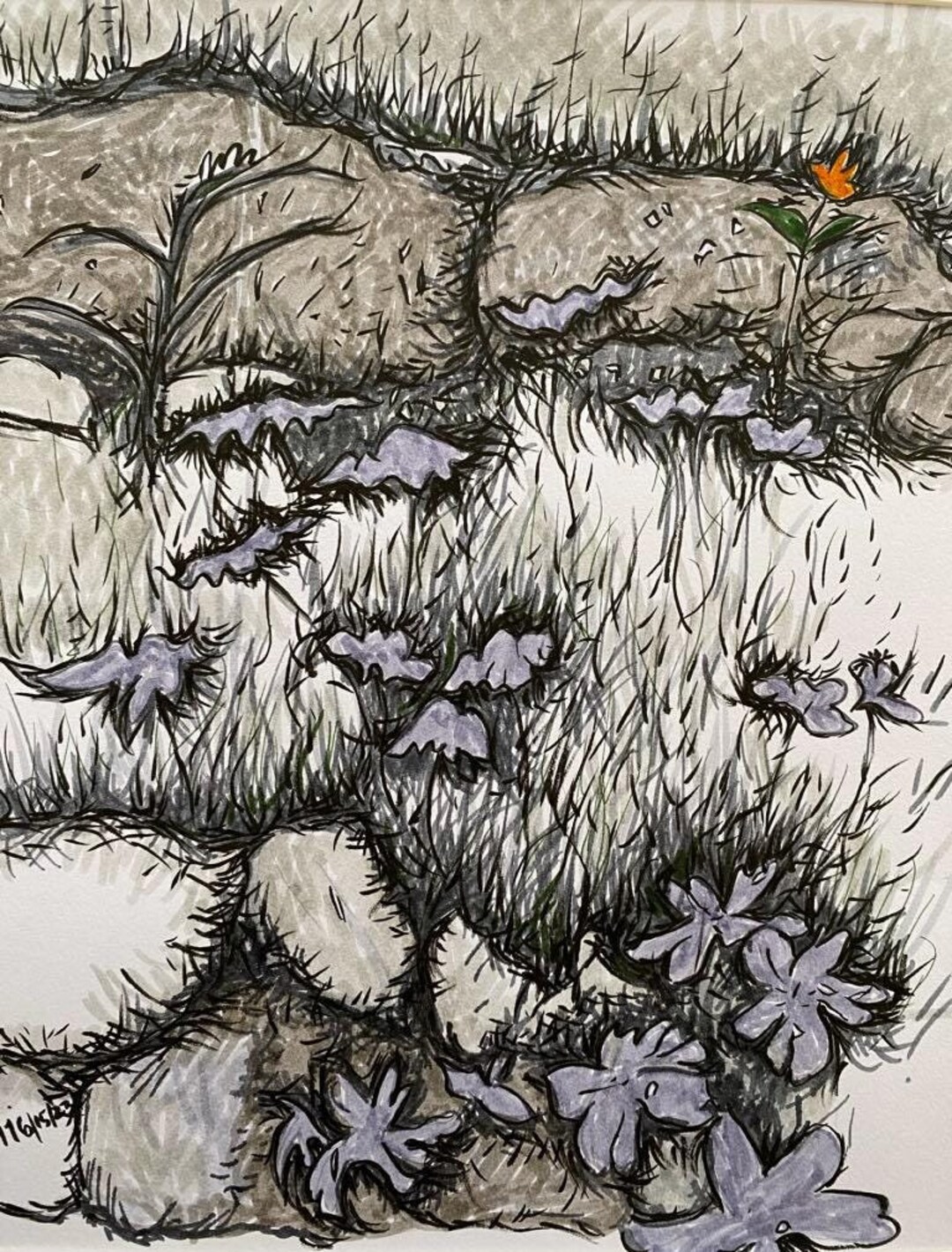 Pen Ink Rocks Original Pen and Ink Flower Drawing, Rock Wall Art, Framed 11x14 - Etsy