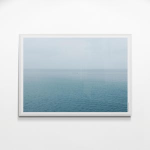Tranquility: Three birds flying over a calm seascape