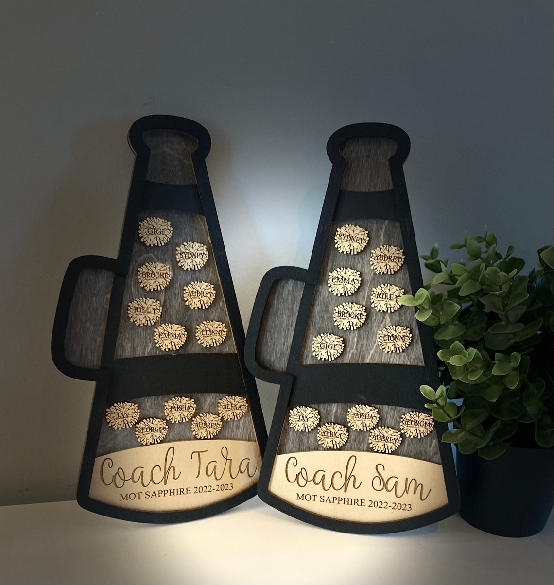Cheer Coach Gifts Etsy Il 1140xN.5099633921 6l1e