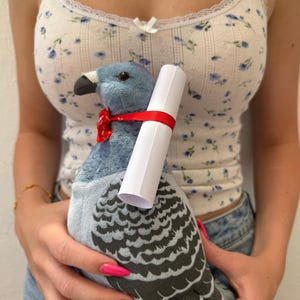 Regalo para enamorados Mensaje de amor personalizado Paloma de peluche de juguete / Envíale un regalo de amor a tu novia Novio Mejor amigo Regalo Portador de cartas de amor