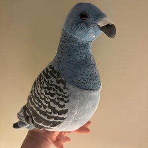 Brinquedo de pelúcia de pombo com mensagem de amor | Envie seu amor para namorada, namorado, melhor amigo, presente, carta de amor, transportador