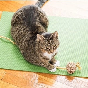 Cat Activity Mat - Cats & Pie – Smushface Goods