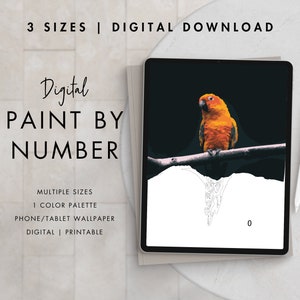 Paint By Number Kit Adult | Digital Download Art | Paint By Number PARROT | Procreate Color Palettes | Printable | Digital Wallpaper