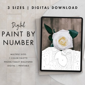 Paint By Number Kit Adult | Digital Download Art | Paint By Number ROSE FLOWER | Procreate Color Palettes | Printable | Digital Wallpaper