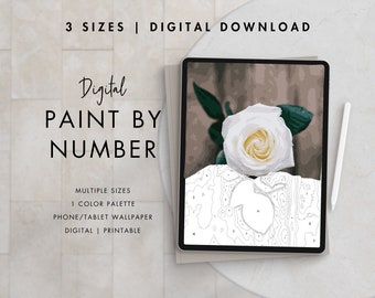 Paint By Number Kit Adult | Digital Download Art | Paint By Number ROSE FLOWER | Procreate Color Palettes | Printable | Digital Wallpaper